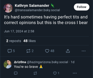 a1.png