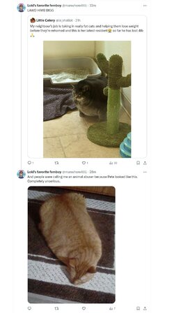 fat.jpg