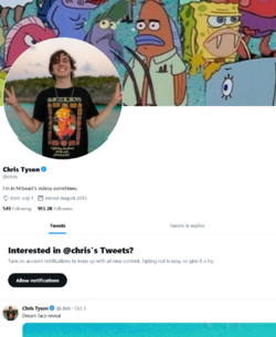 FireShot Capture 027 - Chris Tyson (@chris) _ Twitter - web.archive.org.png