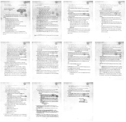 Rekieta Child Protection Order JPG.jpg