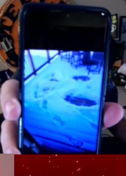 Snow Angels2.PNG