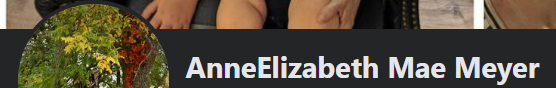 1718779123975.png