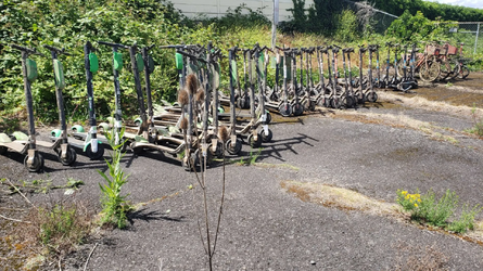 Bird-Lime-Scooters-Recovered-from-Willamette-in-Portland-June-2019.png