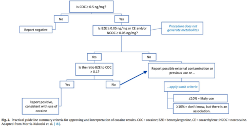 4. practical guideline.png