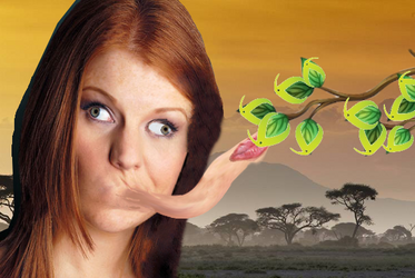10th grade Biology Chapter 7 figure 3.png