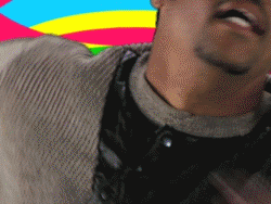 1368018709121.gif