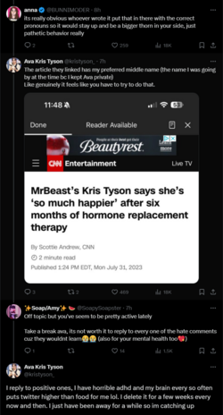 FireShot Capture 2499 - Ava Kris Tyson on X_ _@SoapySoapster @BUNNIMODER I reply to positive_ ...png