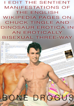 Wikipedia_erotic_novel.png
