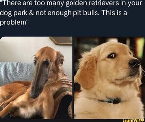 929926.jpg