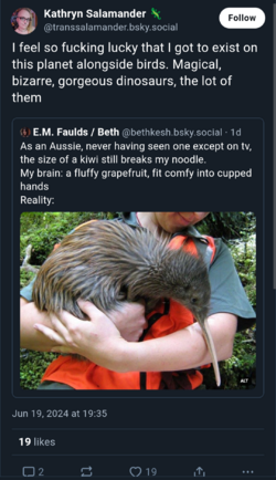 b.png