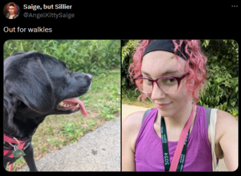 202318.png