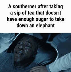 545.jpg
