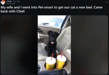 FireShot Capture, https___www.reddit.com_r_aww_commen, My wife and I went into Pet-smart to g_...png