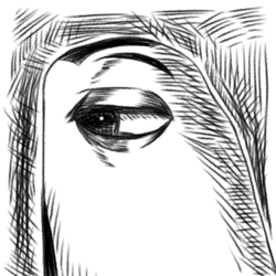 Untitled56_20240621214335.png