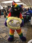 1543807787.kellsterkitten_47187606_1027056937468394_1542402457701711872_n.jpg