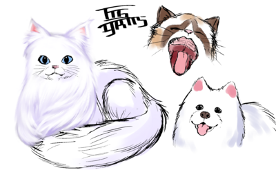 test2.png