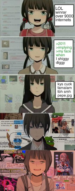 Evolution of an oldfag.jpg