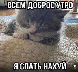 IMG_2075.jpeg
