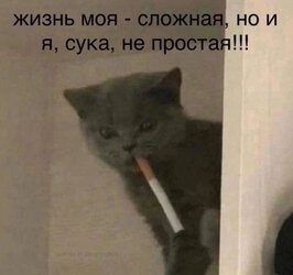IMG_2077.jpeg