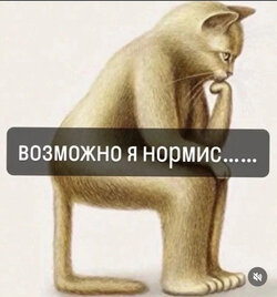 IMG_2078.jpeg