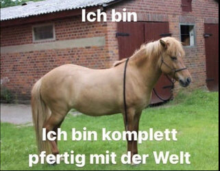 IMG_2079.jpeg