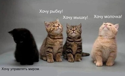 IMG_2082.jpeg
