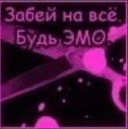 IMG_2084.jpeg