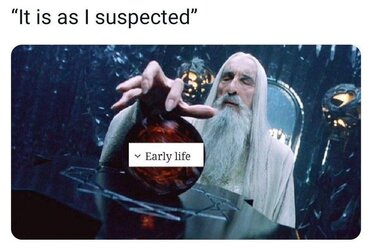 EarlyLife.jpg