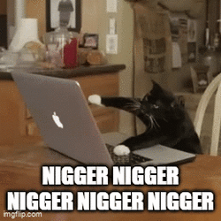 Keyboard Cat.gif