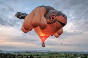 SkyWhale.jpg
