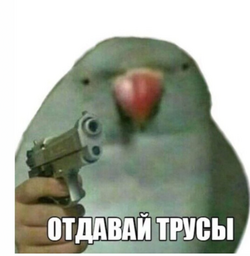 1645719150166.png