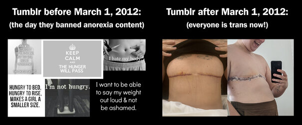 anorexics become trans.jpg