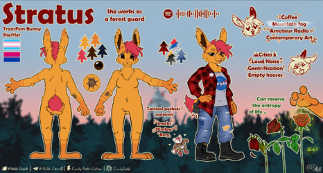 1718904329.candygold_image.png
