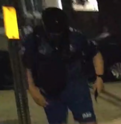1719199582066.png