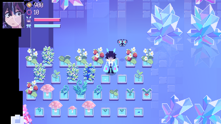 3 plants.png