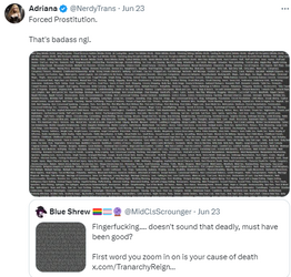 nerdytrans3.png
