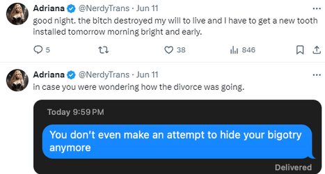 nerdytrans12.png
