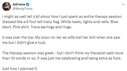 nerdytrans10.png