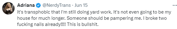 nerdytrans9.png