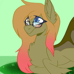 Gmail Profile Picture.jpg