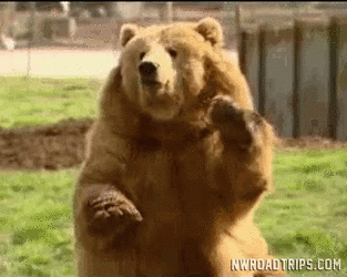 8cb226a97a0388904f0c5cee29fcb943.gif