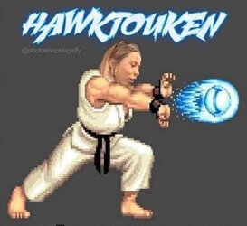Hawk1.jpg