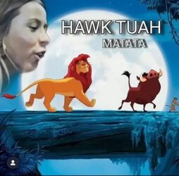 Hawk3.jpg