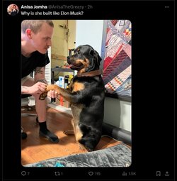 anisa-jomha-tweet1.jpg