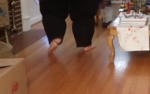 D870B780-D565-415F-A5C5-304DF09D579E.png