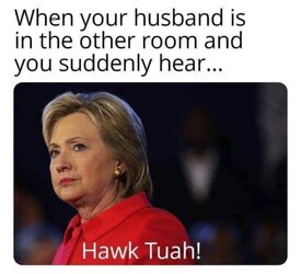 Hawk.jpg