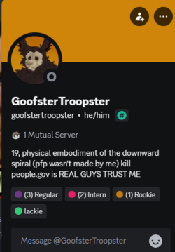 Screenshot 2024-06-25 140025.png