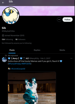 Screenshot_20240625_142242.png