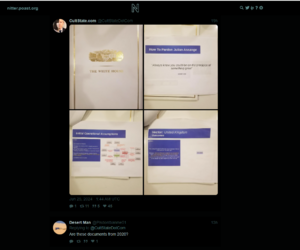 patrickryanlarpingaboutthewhitehouse2.PNG