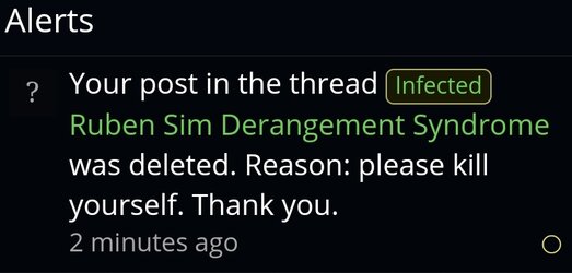 Screenshot_20240625_171813_Samsung Internet.jpg